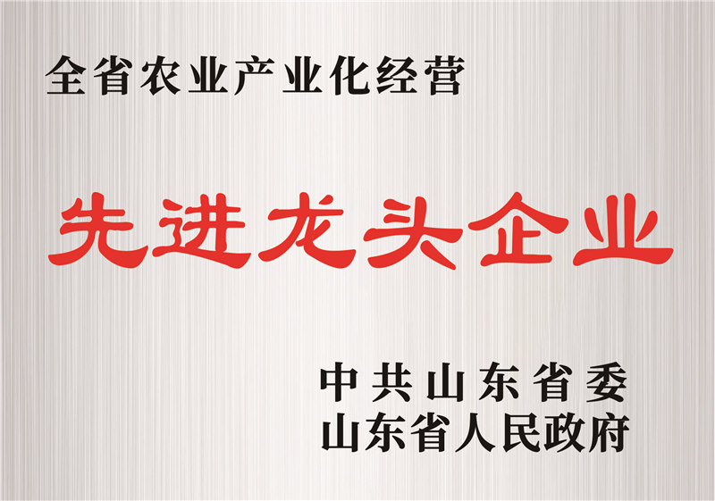先進(jìn)龍頭企業(yè)